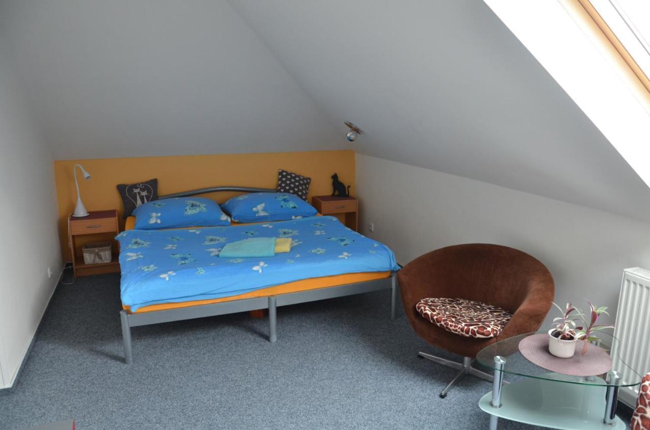 Aura * Dvůr Králové nad Labem